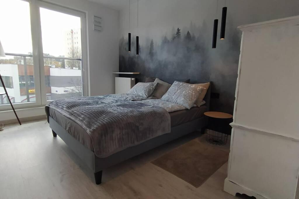 Apartament Modern Moldawska *